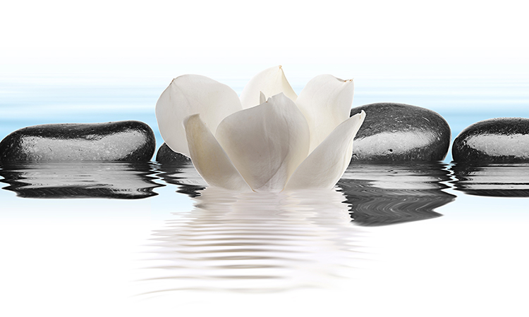 MMIP lotus and rocks on water